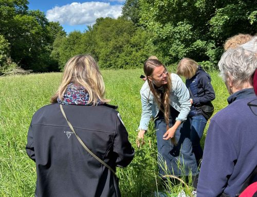 Ein schöner Tag in der Natur