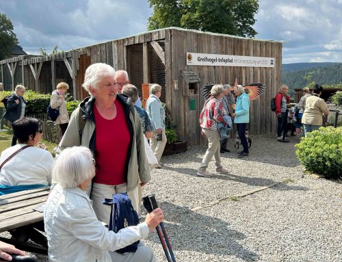 Entlang der Saale